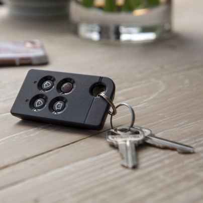 Raleigh security key fob
