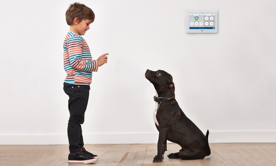 Chapel Hill security systems