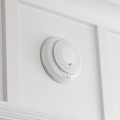 Raleigh smoke detector adt